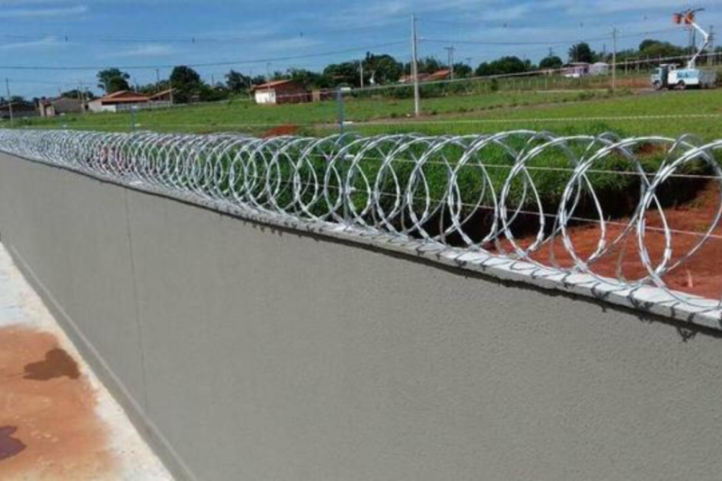 Como Comprar Concertina com Segurança