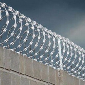Cerca concertina galvanizada